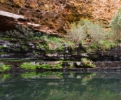 The ferns and waterfall surrounding Circular Pool in Dales Gorge