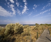 Boardwalk through the dunes in Onslow