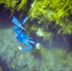 Sam diving in Piccaninnie Ponds