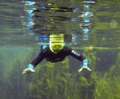Sam diving in Piccaninnie Ponds