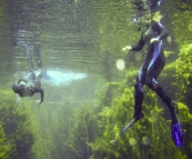 Gina and Lisa diving in Piccaninnie Ponds