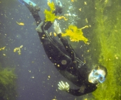 Gina diving in Piccaninnie Ponds