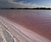 A pink salt lake on the track to Cactus Beach