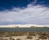 The striking white sand dunes near Cactus Beach