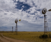 The famous windmills of Penong