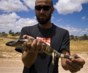 Sam with a Blue Tongued Skink near Point Labatt