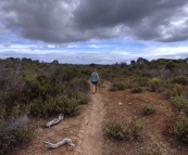 Walking around Yangie Bay to Yangie Island