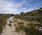 The hiking trails around Yangie Bay