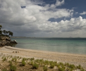 The awesome shell beach below our campsite at Black Springs