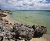 Beaches along the eastern coastline of Coffin Bay National Park