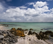 Beaches along the eastern coastline of Coffin Bay National Park