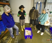 Our tour of one of the seafood processors in Port Lincoln