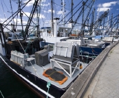 The prawn fleet dormant in Port Lincoln