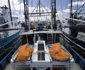 The prawn fleet dormant in Port Lincoln