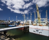 Fishing boats in Port Lincoln