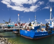 Fishing boats in Port Lincoln