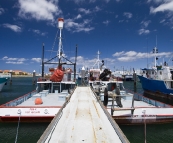 Fishing boats in Port Lincoln