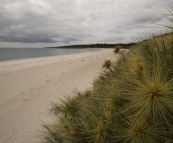 September Beach