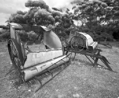 Relics of an agricultural past at Cape Donington