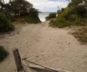 Short trail through the sand to the beach from our campsite at Memory Cove