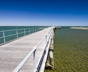 The Cowell jetty