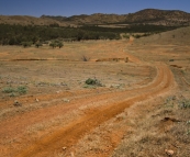 Partacoona Station in the Flinders Ranges