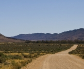 Road back to Quorn from Partacoona Station