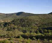 Mount Remarkable National Park