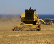 Finishing up the oats on the Brown\'s farm on Yorke Peninsula