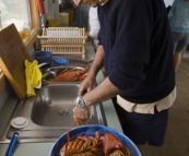 Bob preparing crayfish for lunch