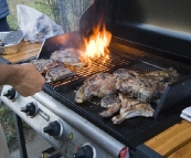 Plenty of carnivores at the dinner table...