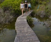 Gina, Lisa and Chris walking over Piccaninnie Ponds