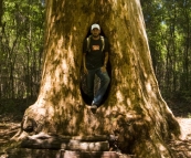 Sam in the \'Walk Through Karri\' in Beedelup National Park