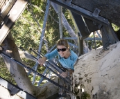 Lisa climbing the Gloucester Tree in Gloucester National Park