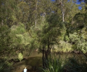 Our private steps to the Warren River from our campsite in Warren National Park