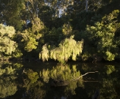 Sunset on the Warren River from our campsite in Warren National Park