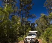 Driving through the Karri forests in Warren Naitonal Park