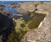 Tide pools at Windy Harbour