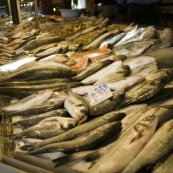 Fethiye's fish market