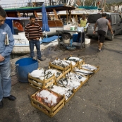 Fisherman pedaling their wares in the marina at Bodrum