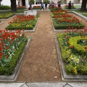 More tulips in Topkapi Palace...