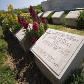 One of the many cemeteries on the road from Lone Pine to Chunuk Bair