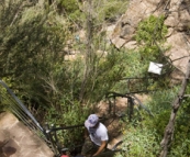 Lisa, Gina and Chris walking up from the base of MacKenzie Falls