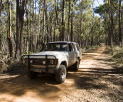 Bessie on one of the tracks through the dense forest by Strachans campground