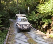 The Tank cruising the Otway Ranges