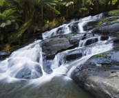 Triplet Falls in the Otway Ranges