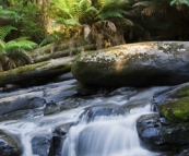 Triplet Falls in the Otway Ranges