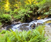 Triplet Falls in the Otway Ranges