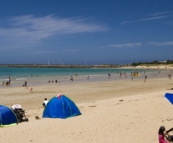 Apollo Bay's beach