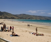 Apollo Bay's beach